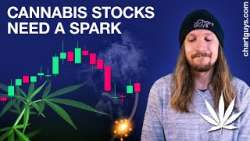 Cannabis Stock Weekly Charts
