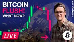 Bitcoin FLUSH! What Now?