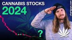 Cannabis + Psychedelic Stocks 2024