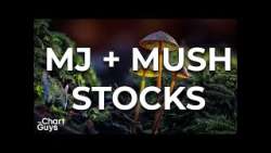 Cannabis + Psychedelic Stock Charts!