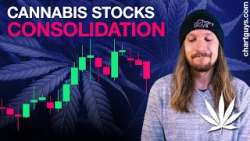Cannabis Stock Dip Buying