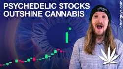 Psychedelic + Cannabis Stock Charts!