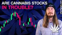 Cannabis Stocks Support Tests
