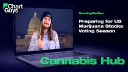 Preparing for US Marijuana Stocks Voting Season
