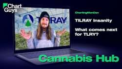 What Is Happening to Tilray (TLRY)?