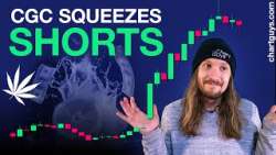 Cannabis Stock Short Squeeze!