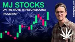 Cannabis Stock Fervor Continues!
