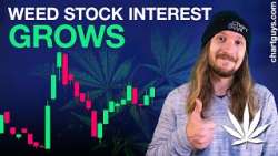 Cannabis Stock Charts! Buzz Building