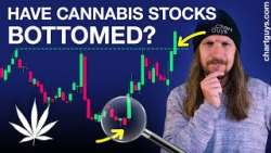 Cannabis Stocks Show Life