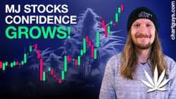 Cannabis Stock Charts!