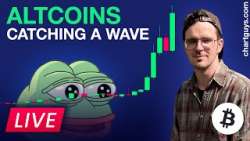 Altcoins Catching A Wave