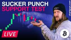BTC Sucker Punch Support Test
