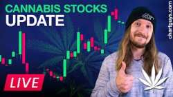 Cannabis Stocks Buzz