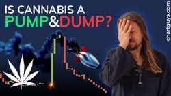 Cannabis Stock Charts