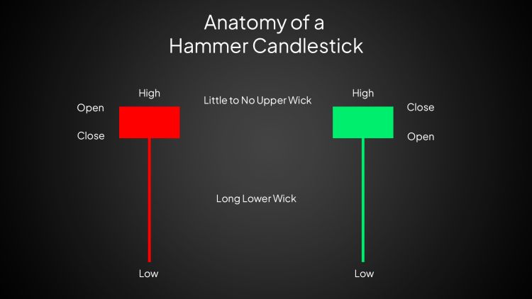 Anatomy of a Hammer Candlestick