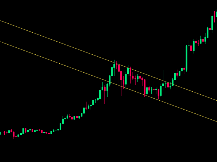 Bull Flag with Continuation