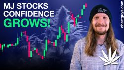 Cannabis Stock Charts!