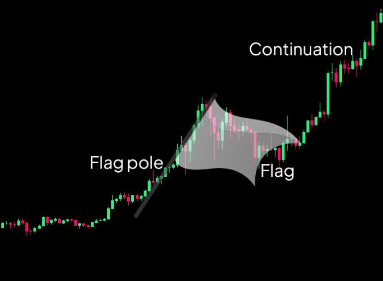 Bull Flag - Pattern Anatomy Diagram