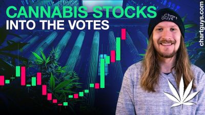 Cannabis Stocks Into The Votes