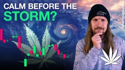 Cannabis Calm Before The Storm?