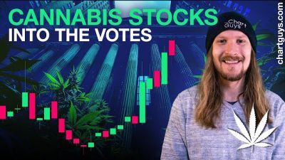 Cannabis Stocks Into The Votes