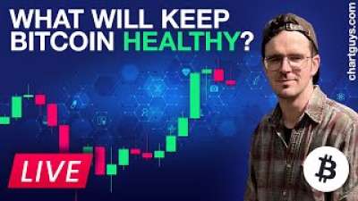 What Will Keep Bitcoin Healthy?