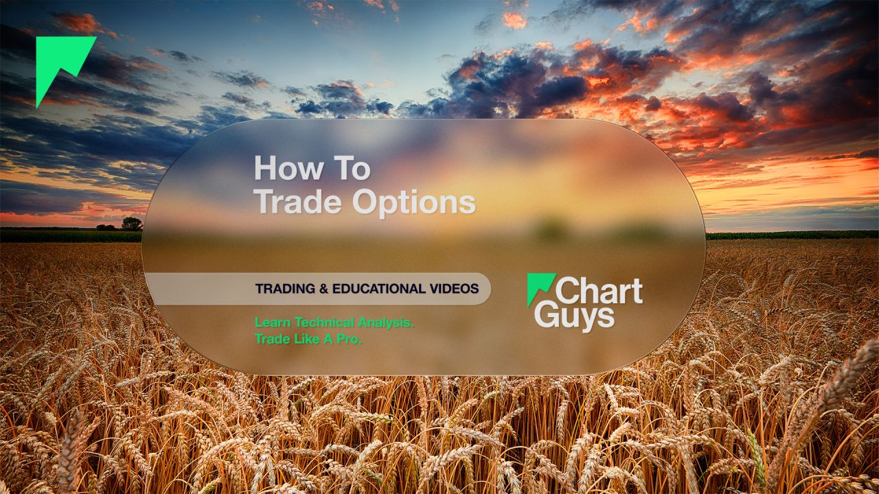 How to Trade Options