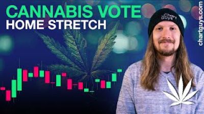 Cannabis Stocks Look To FL Vote