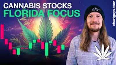 Cannabis Stocks Florida Focus