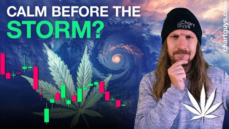 Cannabis Calm Before The Storm?