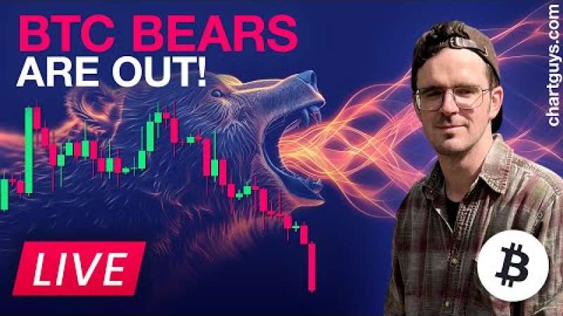 Bitcoin Bears Are Out! Now what?