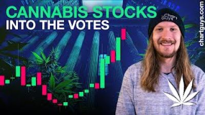 Cannabis Stocks Into The Votes