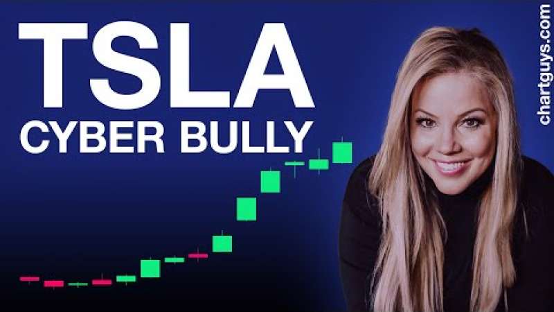 TSLA Cyber Bully!