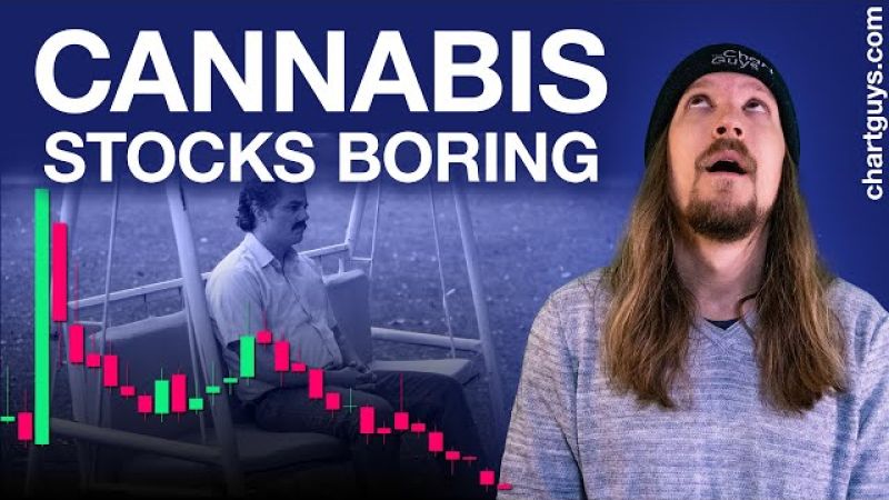 Cannabis Stocks Summer Bleed