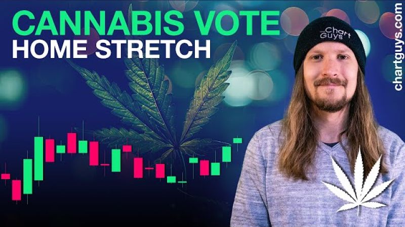 Cannabis Stocks Look To FL Vote