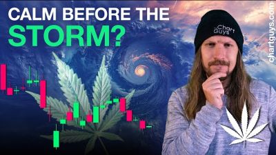 Cannabis Calm Before The Storm?